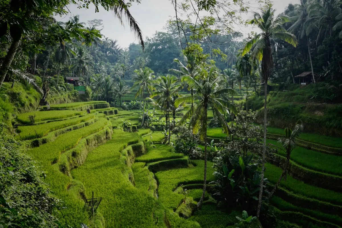How to choose a Bali yacht charter company you can trust